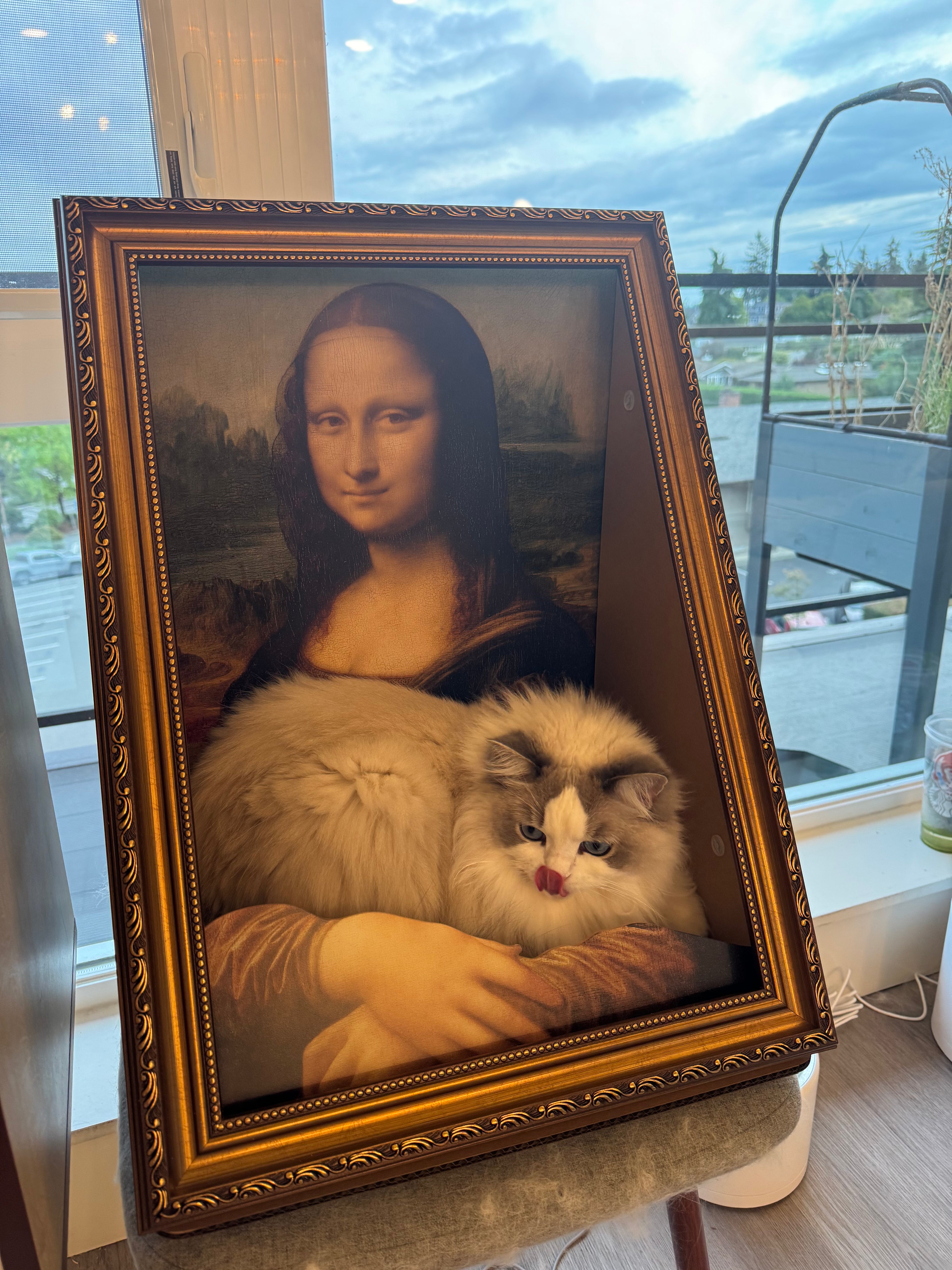 The Meowna Lisa Cat Lounger