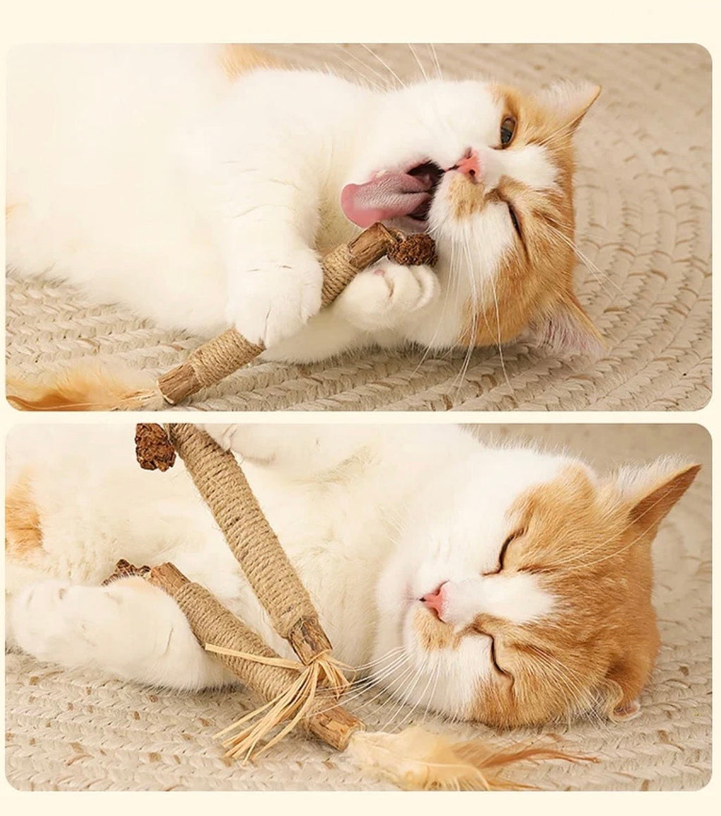 Ultimate Chew Toy Gift Set for Cat