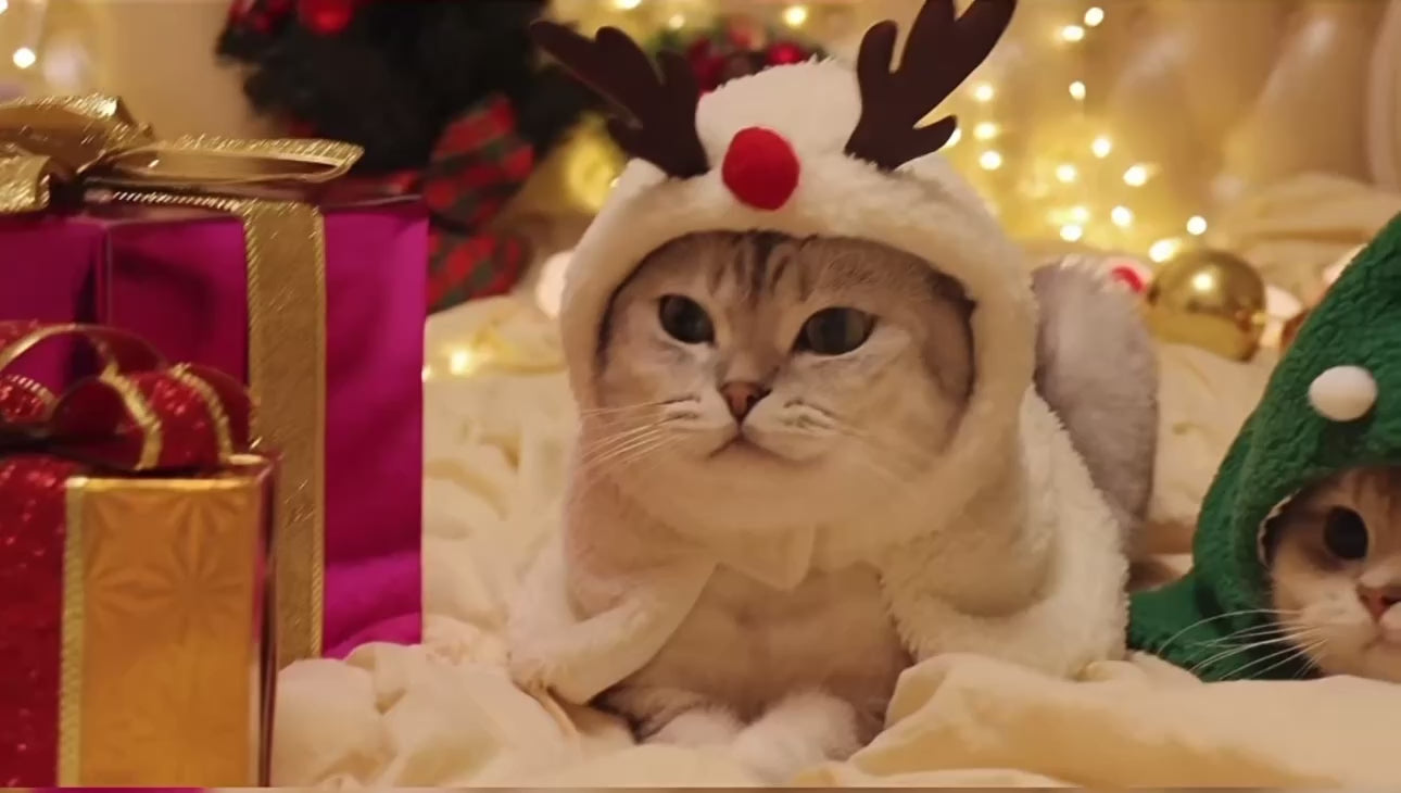 Christmas Hooded Pet Cape